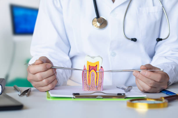 Best Emergency Wisdom Teeth Removal in Stonewall, LA